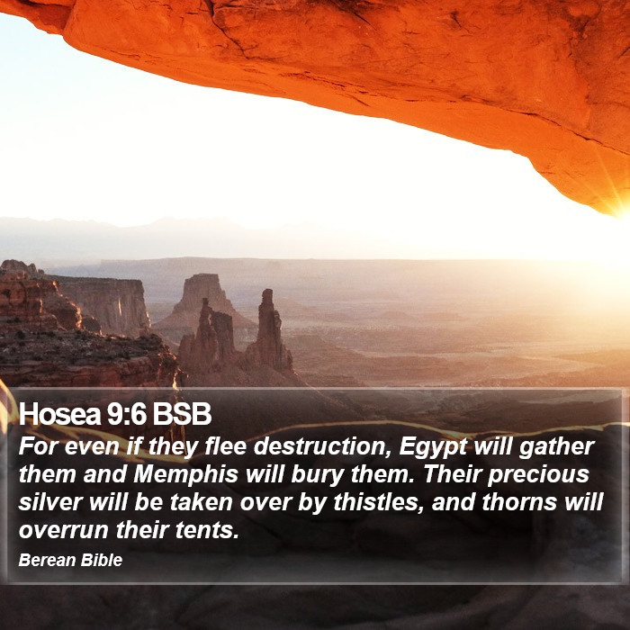 Hosea 9:6 BSB Bible Study