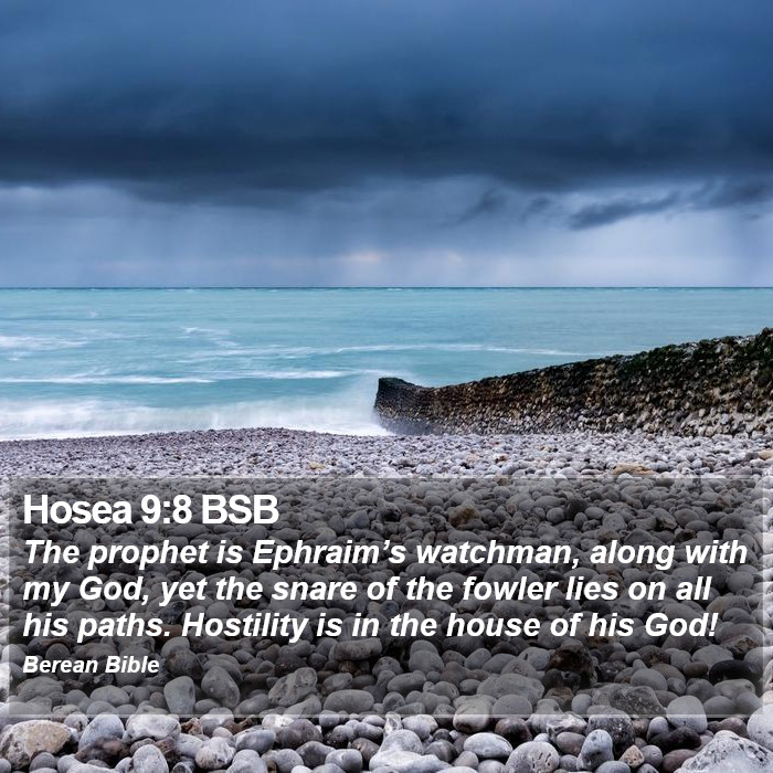 Hosea 9:8 BSB Bible Study