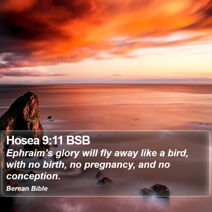 Hosea 9:11 BSB Bible Study