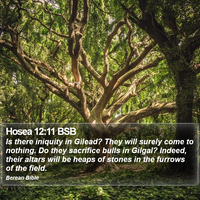 Hosea 12:11 BSB Bible Study