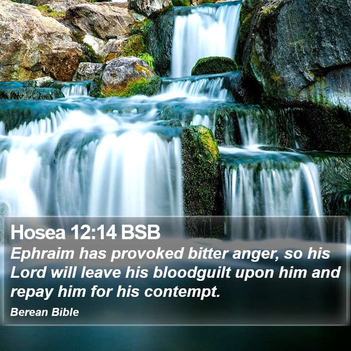 Hosea 12:14 BSB Bible Study