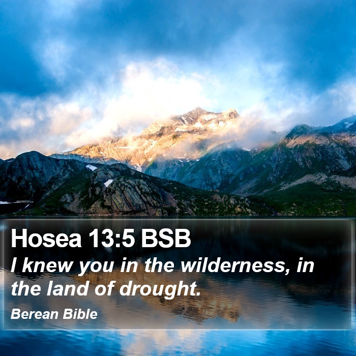 Hosea 13:5 BSB Bible Study