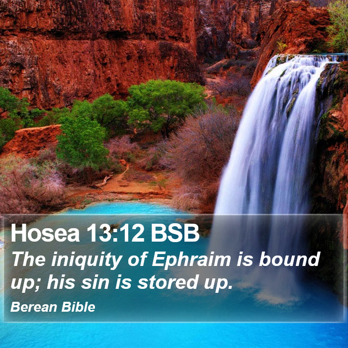 Hosea 13:12 BSB Bible Study