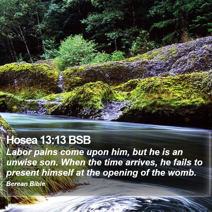 Hosea 13:13 BSB Bible Study