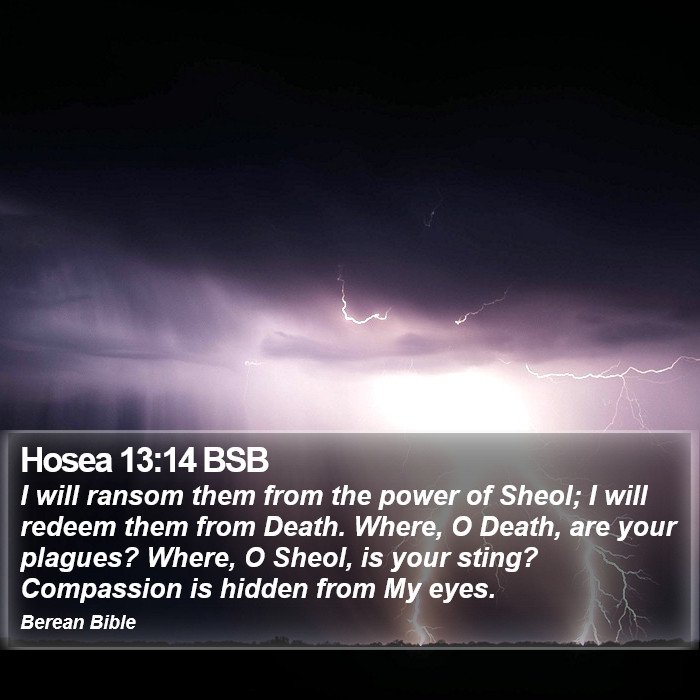 Hosea 13:14 BSB Bible Study