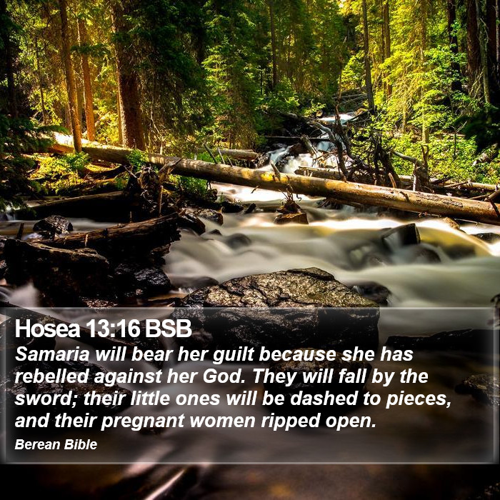 Hosea 13:16 BSB Bible Study