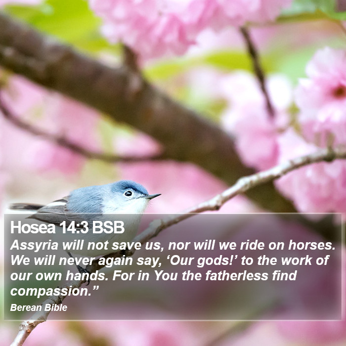 Hosea 14:3 BSB Bible Study