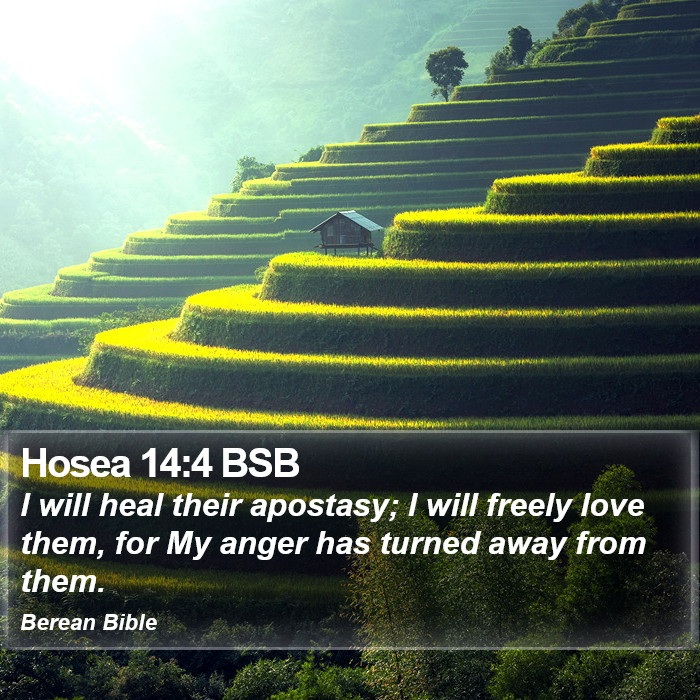 Hosea 14:4 BSB Bible Study