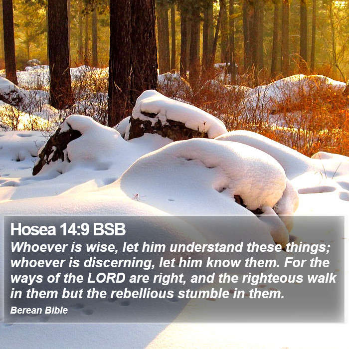 Hosea 14:9 BSB Bible Study