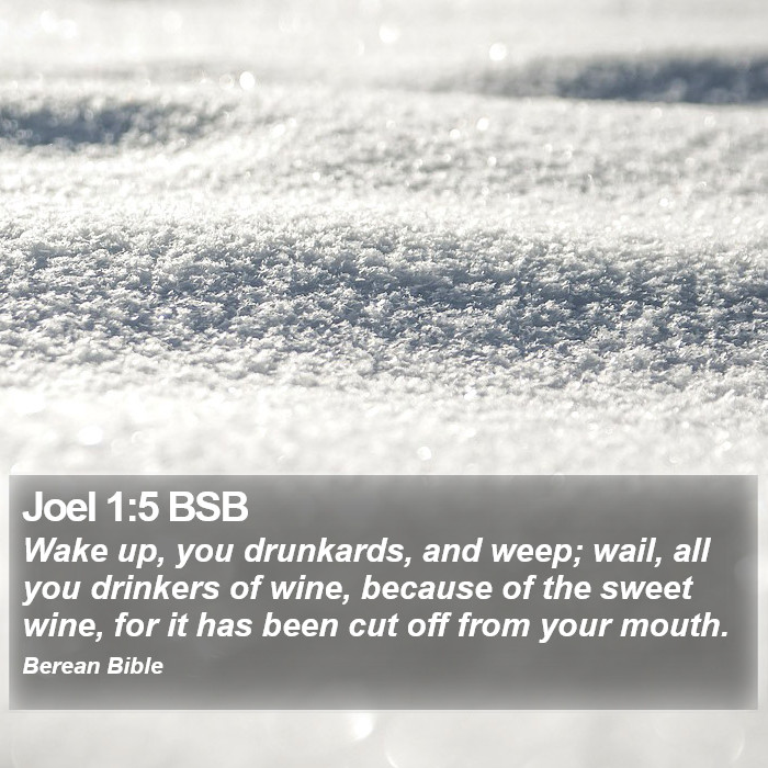 Joel 1:5 BSB Bible Study