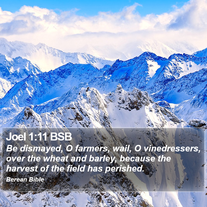 Joel 1:11 BSB Bible Study