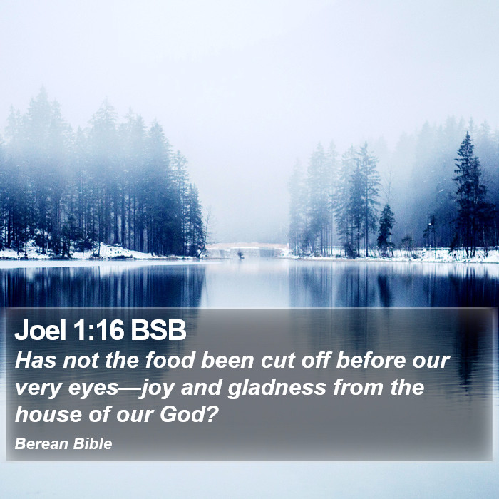 Joel 1:16 BSB Bible Study