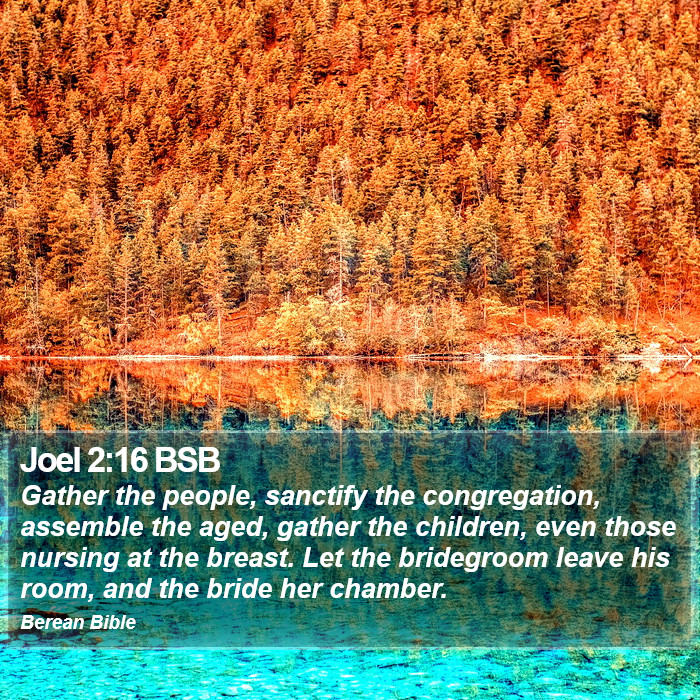 Joel 2:16 BSB Bible Study