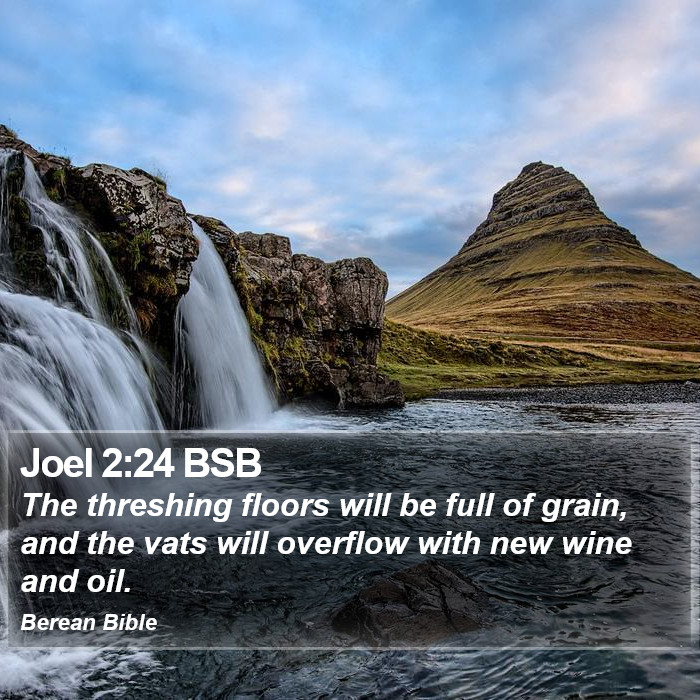 Joel 2:24 BSB Bible Study