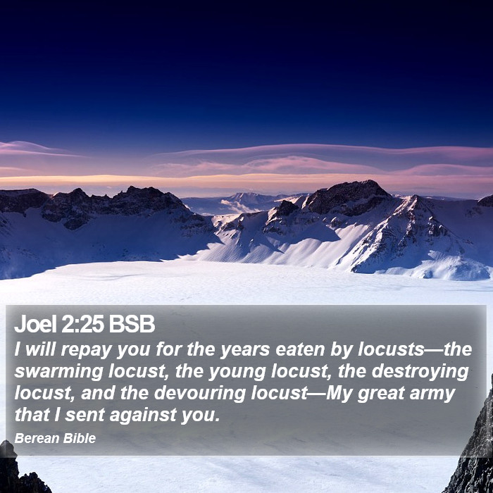 Joel 2:25 BSB Bible Study