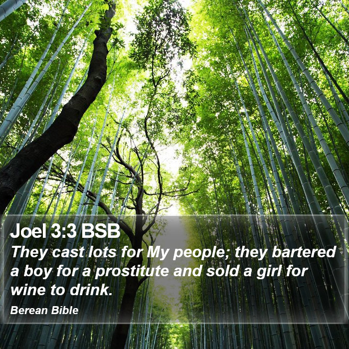 Joel 3:3 BSB Bible Study