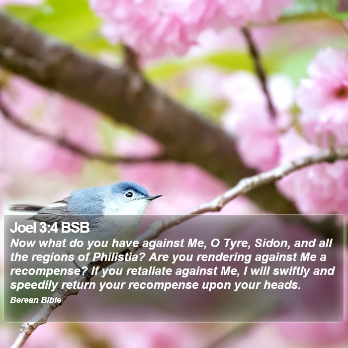 Joel 3:4 BSB Bible Study