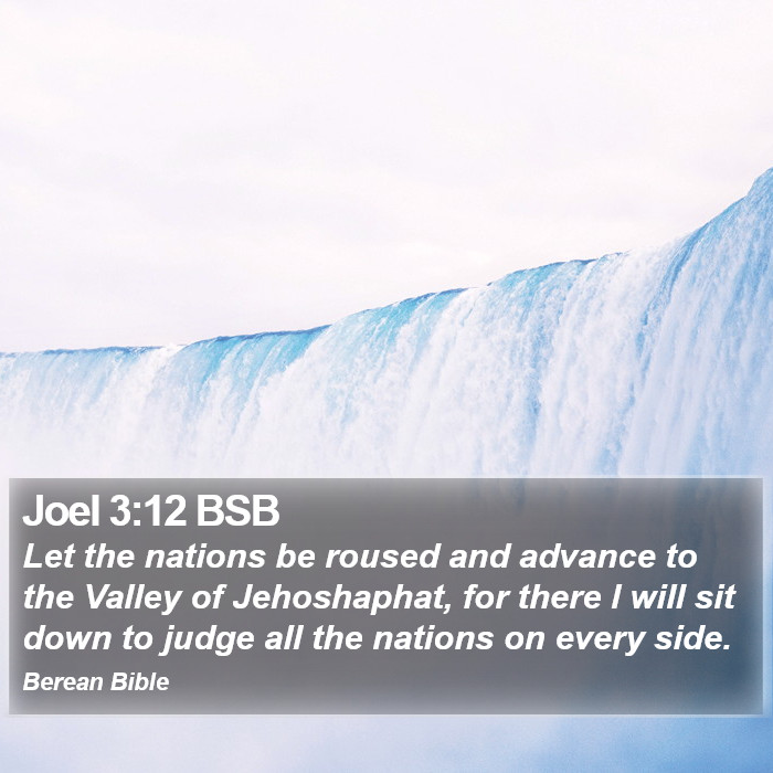 Joel 3:12 BSB Bible Study