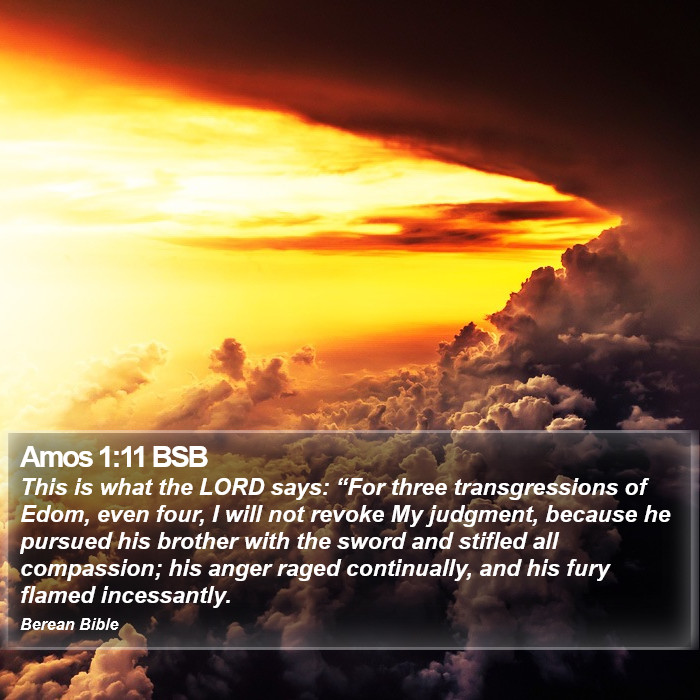 Amos 1:11 BSB Bible Study