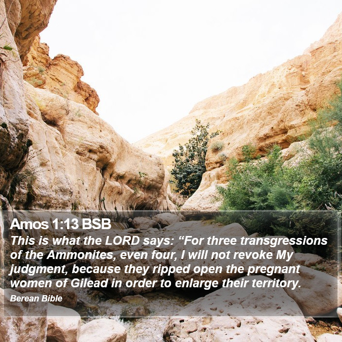 Amos 1:13 BSB Bible Study