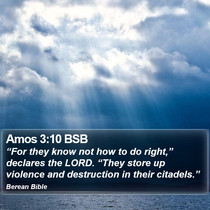 Amos 3:10 BSB Bible Study