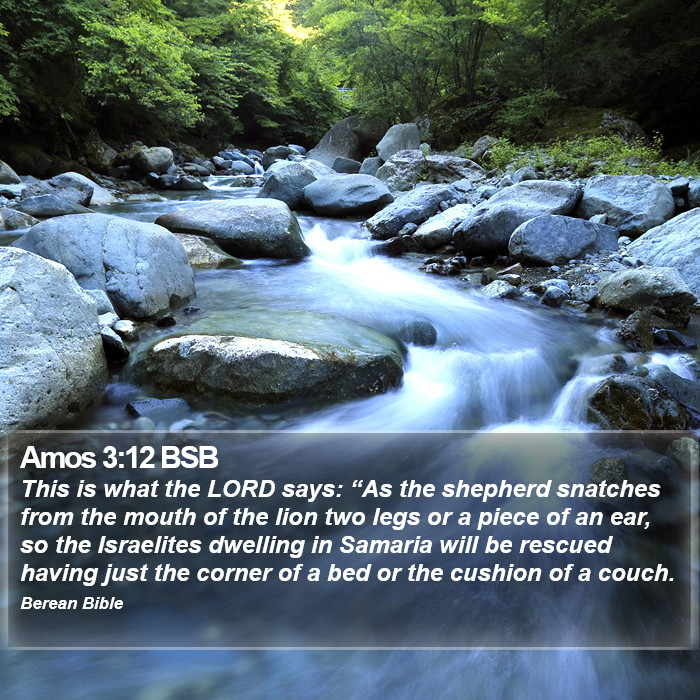 Amos 3:12 BSB Bible Study