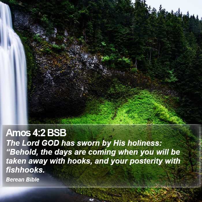 Amos 4:2 BSB Bible Study