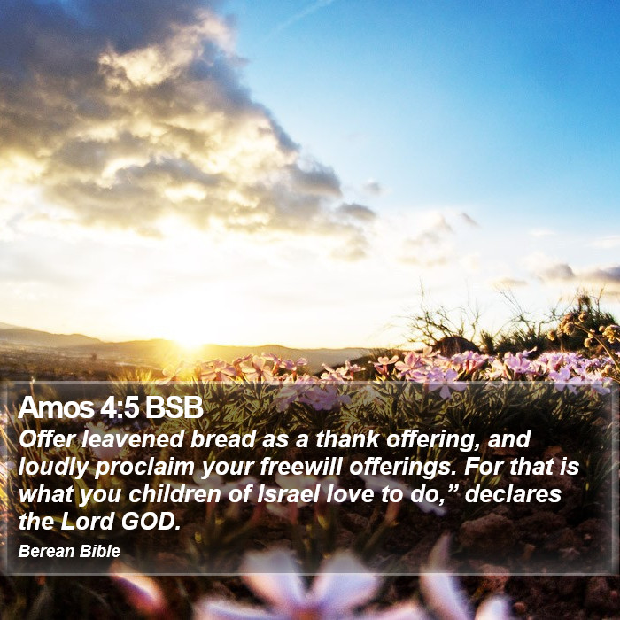 Amos 4:5 BSB Bible Study