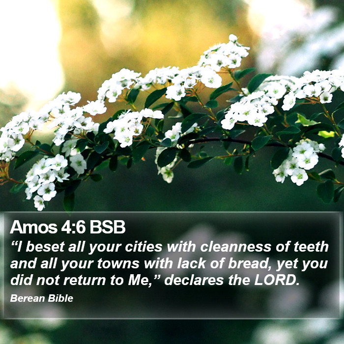 Amos 4:6 BSB Bible Study