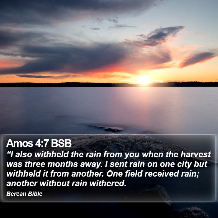 Amos 4:7 BSB Bible Study