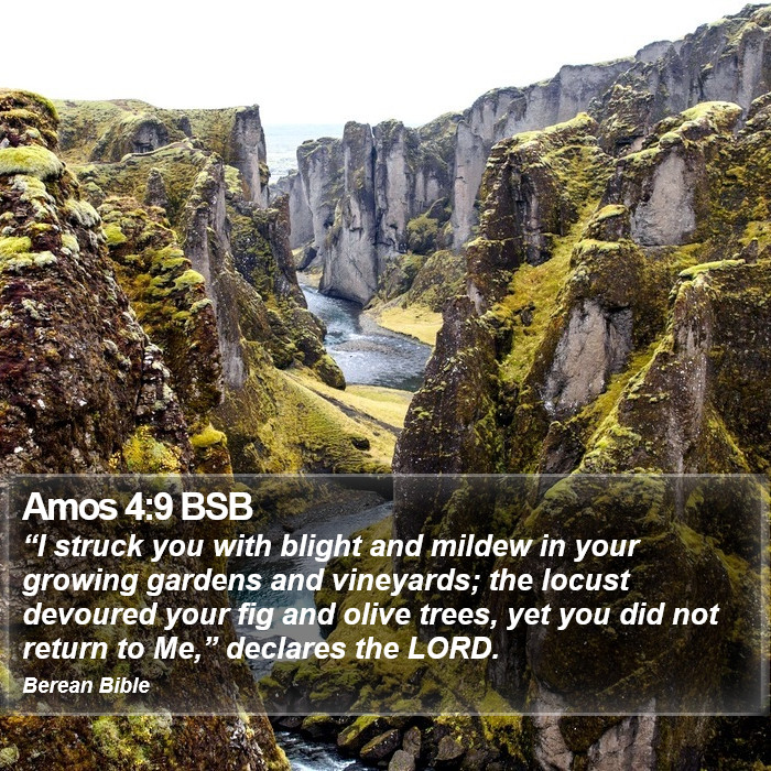 Amos 4:9 BSB Bible Study