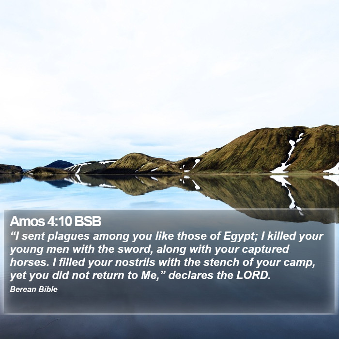 Amos 4:10 BSB Bible Study