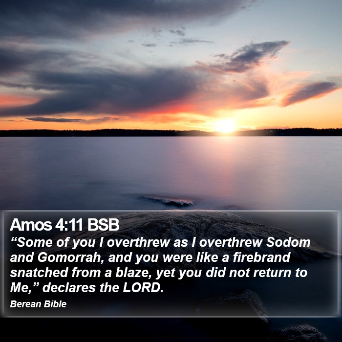 Amos 4:11 BSB Bible Study