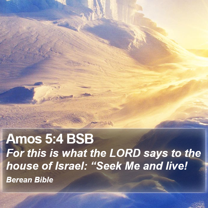 Amos 5:4 BSB Bible Study