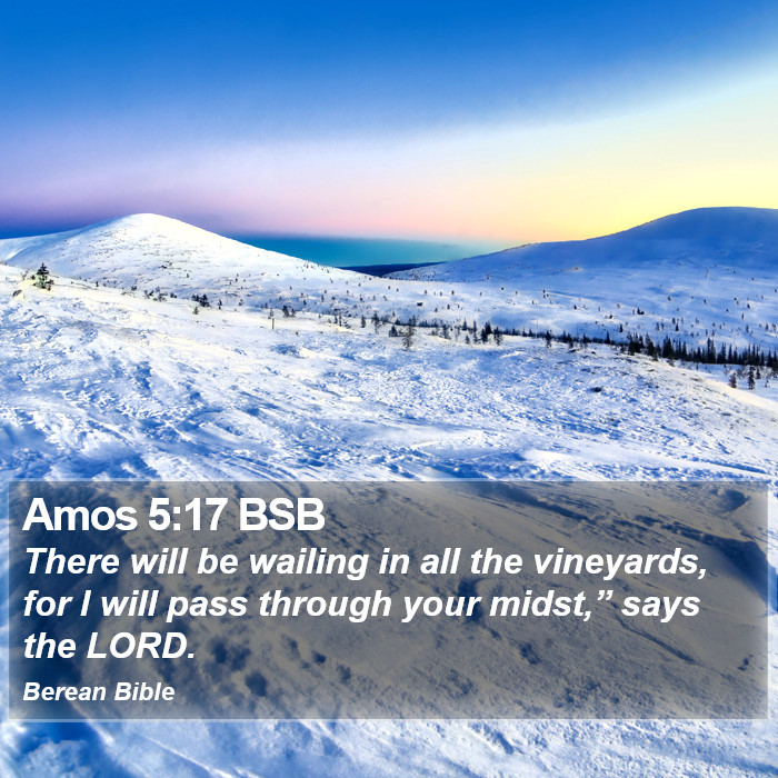 Amos 5:17 BSB Bible Study