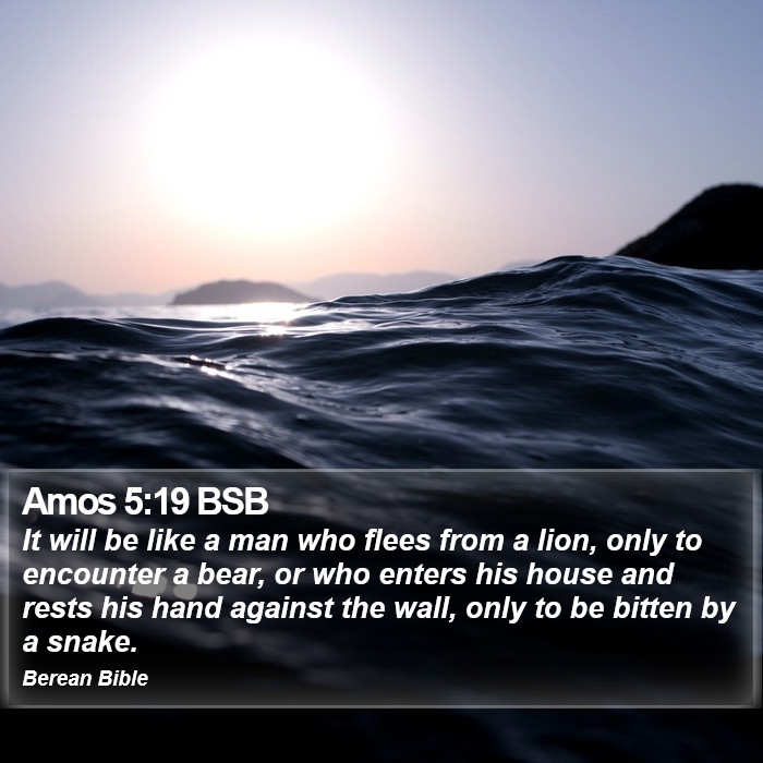 Amos 5:19 BSB Bible Study