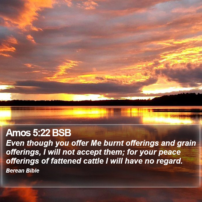 Amos 5:22 BSB Bible Study