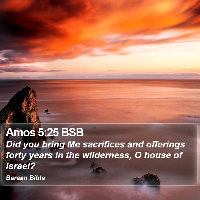 Amos 5:25 BSB Bible Study