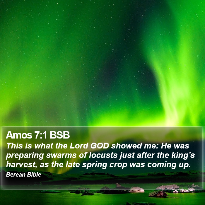 Amos 7:1 BSB Bible Study