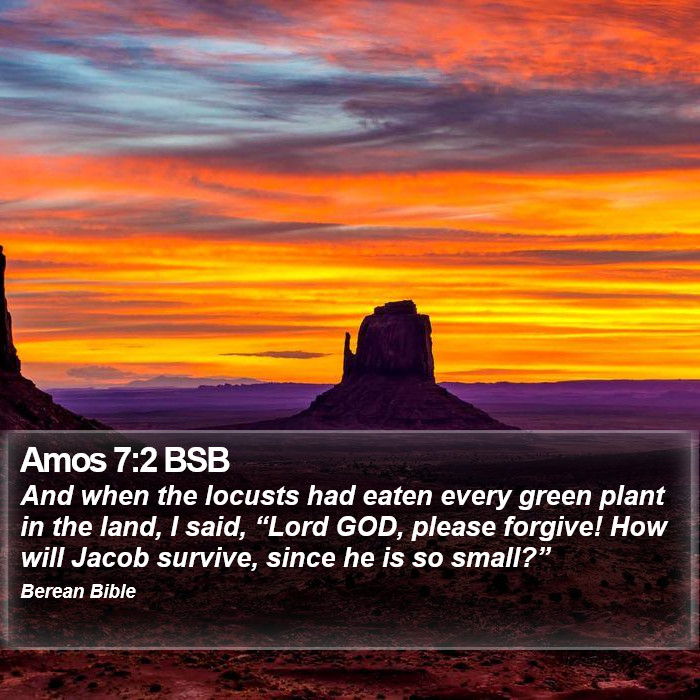 Amos 7:2 BSB Bible Study