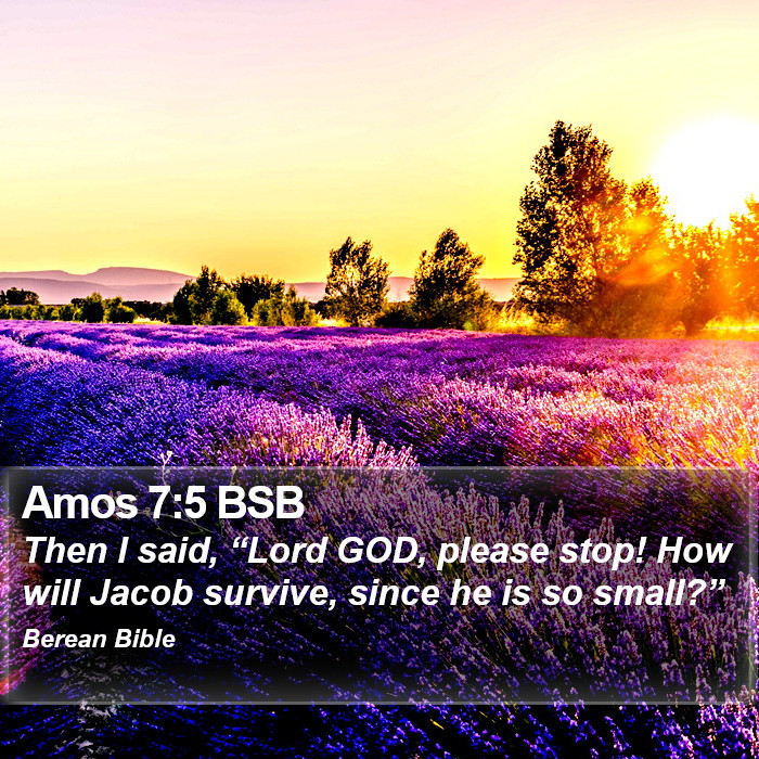 Amos 7:5 BSB Bible Study