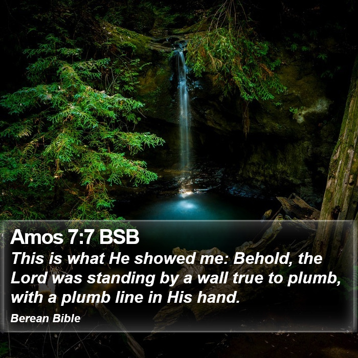 Amos 7:7 BSB Bible Study