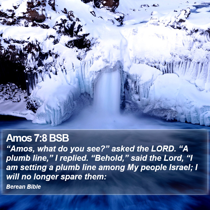 Amos 7:8 BSB Bible Study