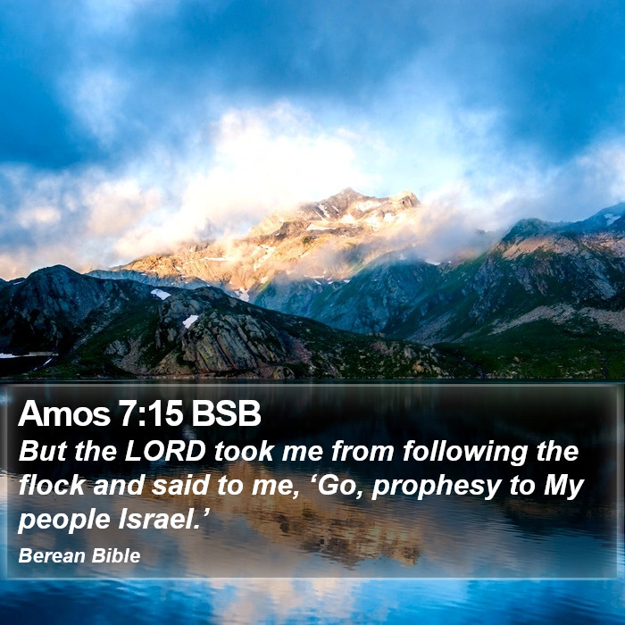 Amos 7:15 BSB Bible Study