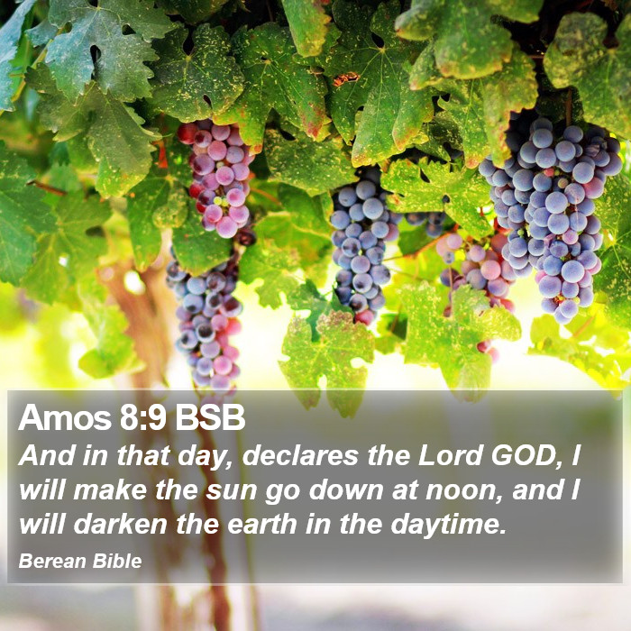 Amos 8:9 BSB Bible Study