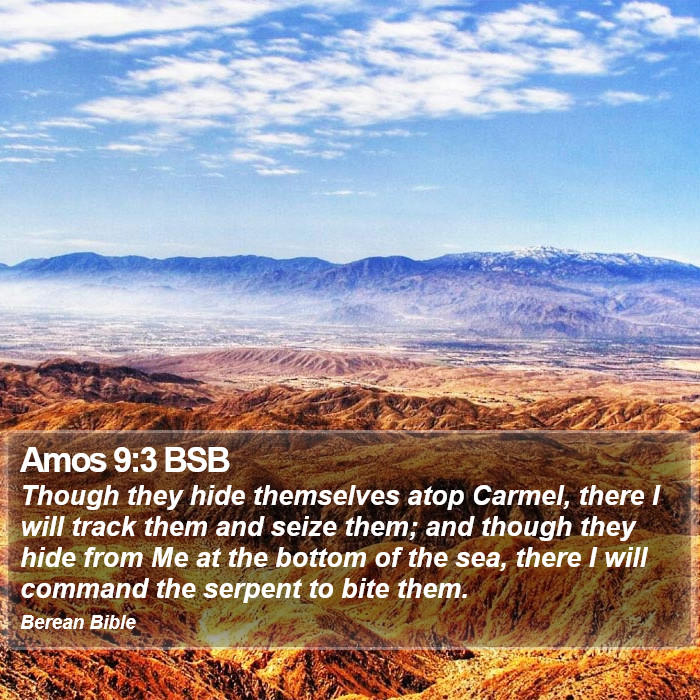 Amos 9:3 BSB Bible Study