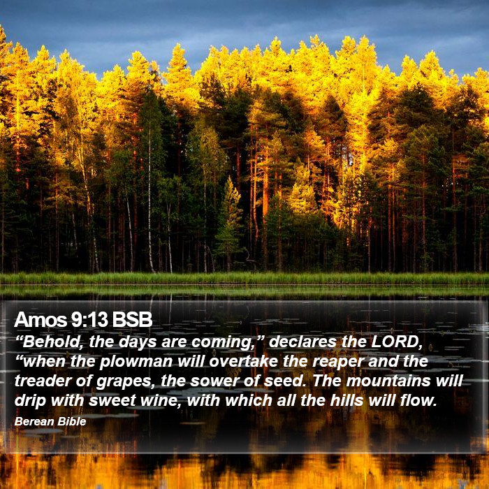 Amos 9:13 BSB Bible Study