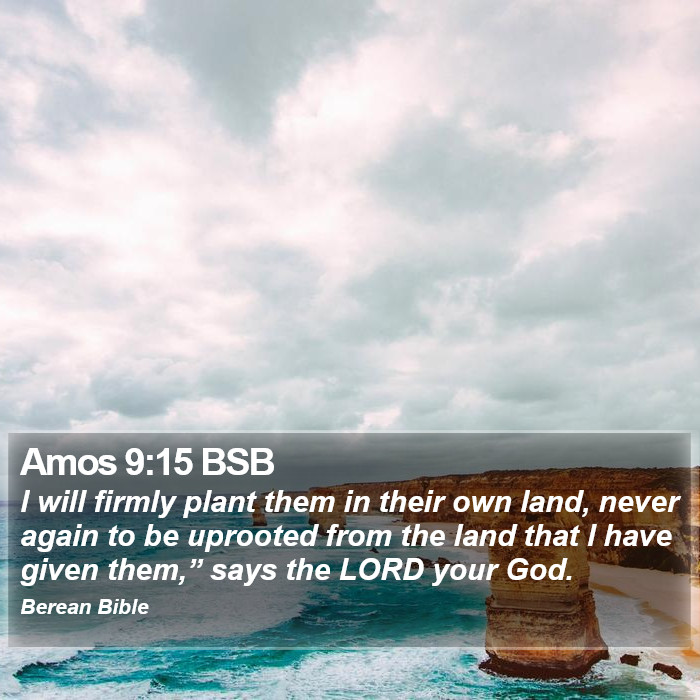 Amos 9:15 BSB Bible Study