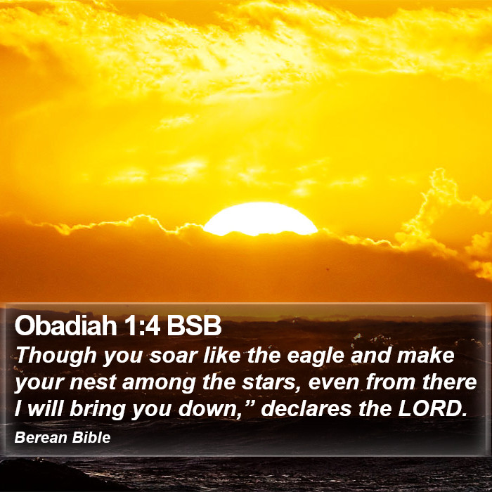 Obadiah 1:4 BSB Bible Study