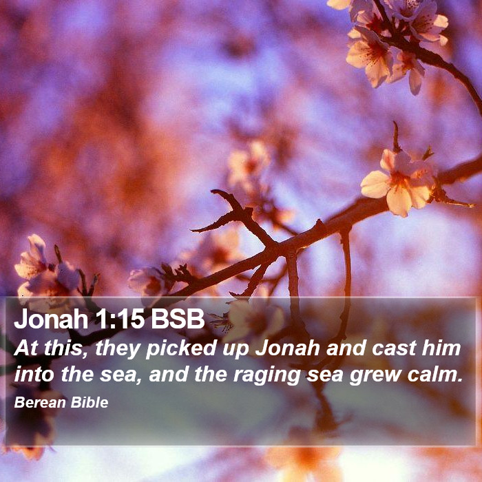 Jonah 1:15 BSB Bible Study